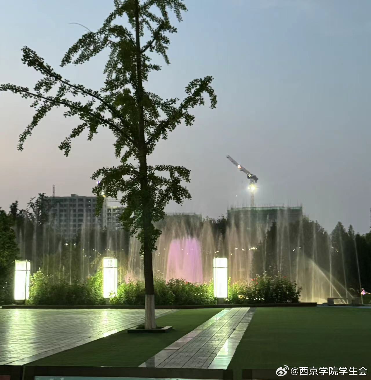 古都西京焕发新活力，最新消息揭秘